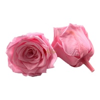 Fournitures de fleuriste en gros pour le bricolage : Roses éternelles enchantées, fleurs préservées à la glycérine, longue durée de conservation (3-5 ans)