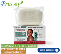 Savon Ultra Éclaircissant Jour & Nuit NATUREL, Détergent de Cuisine Écologique à Mousse Riche, Vente en Gros, OEM, Logo de Marque Personnalisé