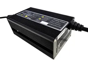 Professioneller Hersteller 15 A 24 V Autobatterielader Bleisäure Lifepo4 Lithiumbatterie