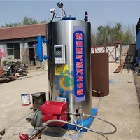 Gas Steam Generator Boiler for Brewery, High Efficiency