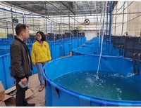 Nouvelle conception de réservoir d'aquaculture en PVC, réservoir facile à déplacer, ferme piscicole