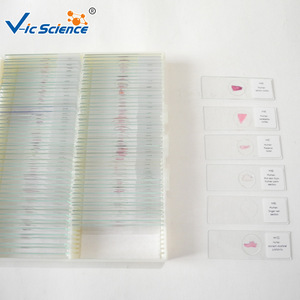 Productos Recomendados: Portaobjetos de Tejido Normal Médico de Hospitales Universitarios e Institutos de Investigación; 100 Tipos de Biológicos - Product Image 3