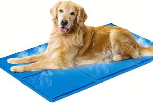 ChillPet Modern Summer Cooling <b>Mat</b> Collapsible and Soft Nylon Pet <b>Mat</b> for Hot Days - Product Image 4