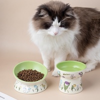 Vente en gros de bol écologique en céramique pour chien et chat avec dentelle de lapin vert bol d'eau anti-choc menton noir pour animaux de voyage en plein air