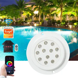 Ip68 impermeabile monocromatico Rgb telecomando luce per piscina Dc12v Smd illuminazione acquatica subacquea luci per piscina a Led