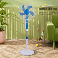 Ventilateur sur pied solaire à vente chaude avec panneau solaire, ventilateur de sol de 16 pouces, fonctionnement en courant continu, ventilateur électrique solaire à 5 pales