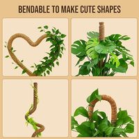 Lot de 2 piquets de mousse pliables de 48 pouces pour Monstera, supports de plantes, bâtons hauts, treillis d'intérieur pour plantes d'intérieur