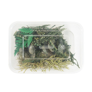 Dried Flower Craft Kit Mixed Preserved Flowers For Handmade Decor Yiwu Origin Ac0659 - Product Image 5