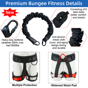 Dây <span class=keywords><strong>Bungee</strong></span> Nhảy Tập Luyện Cho Huấn Luyện Viên Treo Bài Tập <span class=keywords><strong>Bungee</strong></span> Dance Fitness - Product Image 2