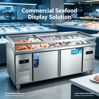 Vitrine Réfrigérée Horizontale Commerciale en Acier Inoxydable à Double Température et Refroidissement Direct pour Fruits de Mer, Barbecue et Plats Froids