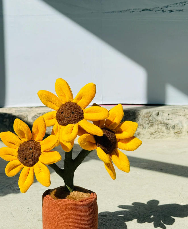 Tournesol en pot 35cm - sac bleu 3b offert