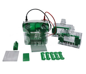 Cella per elettroforesi verticale con proteine EPT-VT02 per Gel di dimensioni 83x73mm, - Product Image 4