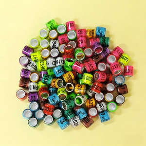 2026 Vogeltransportring Multi-Color Duivenraces Beenring met Woord Oorbellen Plastic Herbruikbaar Alle Seizoenen - Product Image 1