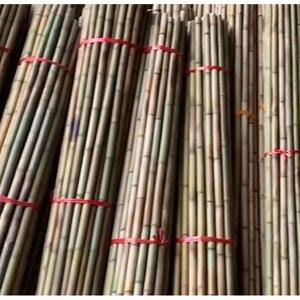 Estacas de Bambú Seco para Soporte de Plantas en Invernaderos, Varillas de Bambú de Diámetro Pequeño para Uso Agrícola - Product Image 2