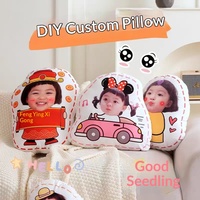 Coussin en peluche personnalisé pour animaux de compagnie, motif chat moche, style célébrité en ligne, à faire soi-même, avec rembourrage en coton PP, bord blanc, fabriqué en Chine, sans hauteur spécifiée