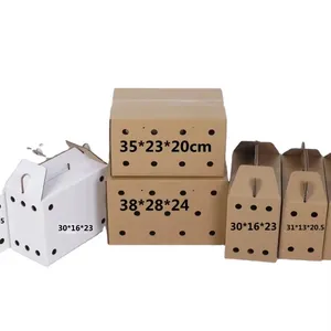 鸽子专用活包装5层瓦楞加硬压缩打孔纸盒各种宠物运输纸盒