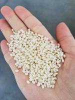 Machine de Compostage de Granulés Biodégradables à Base d'Amidon 100% Biodégradable PBS PBAT PVA PLA Résine de Remplissage