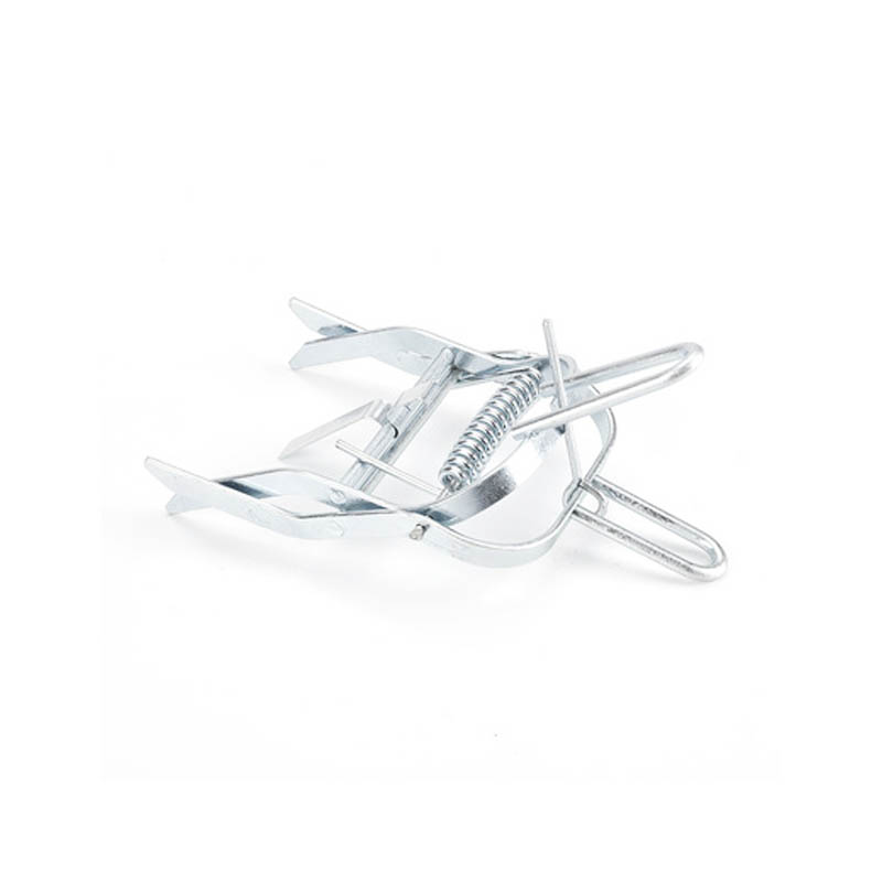 Sliver