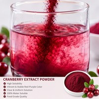 Extrait de Canneberge Naturel en Poudre 25% 50% PACs Qualité Alimentaire Certifié Halal Testé HPLC Extrait par Solvant pour la Santé Urinaire