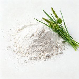 Polvo de Cáscara de Psyllium de Alta Fibra, Grado Alimenticio, para Suplementos Dietéticos - Product Image 1