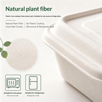 Boîte à lunch jetable écologique en bagasse de canne à sucre, blanche, à double compartiment, pour la préparation de repas, à emporter, pour salades, vente en gros
