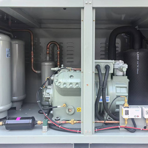 Tự Động Tiết Kiệm Năng Lượng Thiết Bị Làm Lạnh Tủ Đông Lạnh Lưu Trữ Đơn Vị Làm Mát Bằng Không Khí Ngưng Tụ Đơn Vị Bơm Động Cơ Lõi - Product Image 2