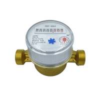 Ningshui China Supply Iso4064 Single Jet Dry Type Class B Cold/Hot Brass Water Flow Meter/Water Meter