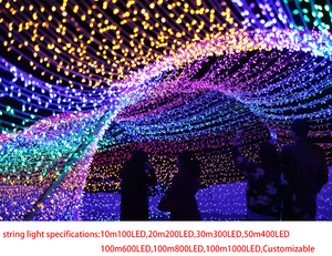 Luci LED a Stringa Impermeabili per Natale 10M 20M 30M 50M 100M per Interni ed Esterni, Decorazioni per Feste Natalizie e Matrimoni - Product Image 5