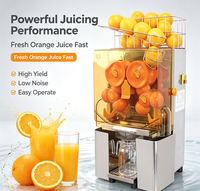 Presse-agrumes multi-têtes commerciales en acier inoxydable, machine automatique pour oranges et citrons, idéale pour hôtels, supermarchés et bars