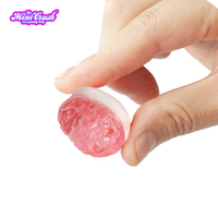 Vente directe d'usine bonbons de lyophilisation saveurs de fruits assorties bonbons gommeux lyophilisés y compris les sacs halal épicés