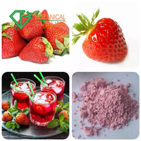 Extrait naturel de fraise poudre lyophilisée poudre de fraise poudre de fraise biologique