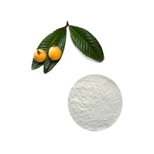 ZD Venda Quente Néspera Deixa Extrato Em Pó 10:1 Folha 20% Ácido Ursólico - Product Image 2