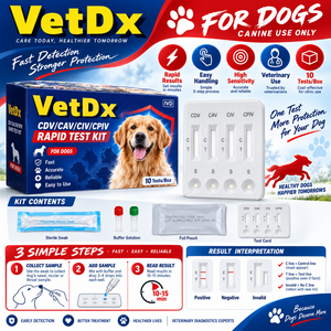 Kit di Test Rapido 4 in 1 per Cani: CDV, CAV, CIV, CPIV per Malattie da Cane (Distemper), Adenovirus, <span class=keywords><strong>Influenza</strong></span> <span class=keywords><strong>e</strong></span> Parainfluenza - Product Image 1