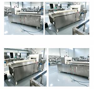 Machine à retirer les noyaux de fruits et à les trancher, certifiée CE, équipement automatique de transformation des pommes, kiwis et mangues - Product Image 6