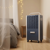 Déshumidificateur compact OEM ODM 50L avec affichage numérique et fonction minuterie pour usage domestique intérieur