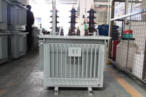 हेतुओ 500kva ieck मानक 6/10/11/13.8/22kv इनपुट तेल-विसर्जित तीन चरण टोरिडल ट्रांसफार्मर बिजली आपूर्ति उपकरण 10kv 220v - Product Image 4