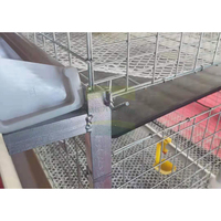 Cage d'engraissement pour poulets à bas prix, 3 niveaux, 6 positions, en acier galvanisé vertical, avec plateau extractible facile à nettoyer