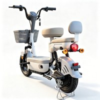 Vélo électrique miniature Smpllo 2 places, moteur 400W, vitesse maximale 30 km/h (3 vitesses), batterie au lithium 48V 20A amovible / batterie au plomb-acide