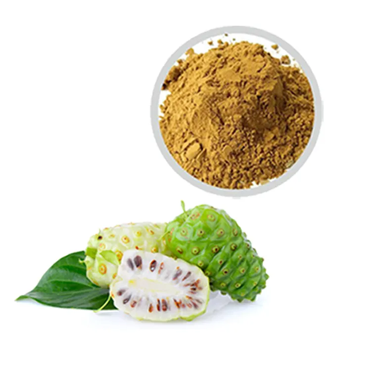 Vente en gros de poudre de fruit de noni biologique pur Poudre de jus de noni