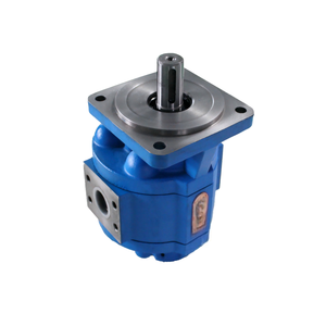 Pompe à engrenages simple Hansen à faible bruit pour bateaux de pêche à benne basculante, origine Shandong, garantie 1 an - Product Image 1