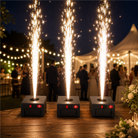 Machine à Fontaine à Flamme Froide, Fontaine Électronique à Étincelles Télécommandée 433MHz 80m pour Effets Scéniques de Mariage et Fêtes, Vente en Gros