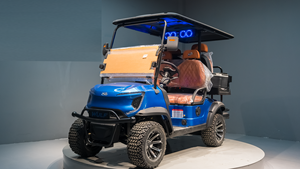 China Factory 5-6 Seat New Energy Vehicle 48v <b>72v</b> Lead Acid <b>Battery</b> 5KW AC Motor for Sale Golf Carts Golf Cart for Golf - Product Image 5