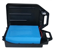 Batterie Lithium-ion pour Scooter électrique, Akku, 60v, 20ah, 1200W, Citycoco, avec chargeur