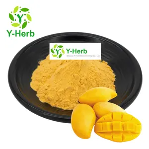 100% Pure Water Soluble Mango Fruit Juice Concentrate Powder/Bulk Mango Juice Powder