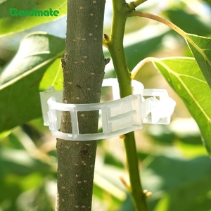100 clips de soutien pour plantes, pour <span class=keywords><strong>fixer</strong></span> les tomates, les concombres, les légumes, les fleurs, les plantes grimpantes - Product Image 2