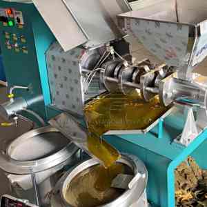Presse <span class=keywords><strong>à</strong></span> huile purement physique sans pollution, préservation des nutriments, protection contre la surcharge, équipement de pressage d'huile naturelle comestible - Product Image 6