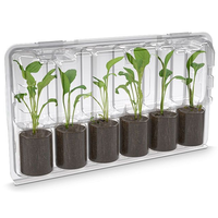 Emballage en plastique transparent personnalisé pour plantes, fleurs, semis, boîte de transport pour plantes et fleurs