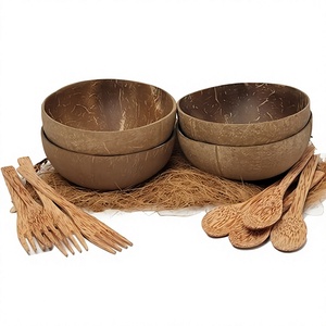 Eco2go Vietnam Coconut Shell Bowl & Spoon Set - Food-Grade Hand-Polished Natural Tableware for Eco Dining & Hospitality - Product Image 1