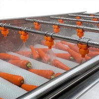 Geavanceerde, gebruiksvriendelijke dieptewasmachine voor vers fruit en groenten met bubbelreinigingsband