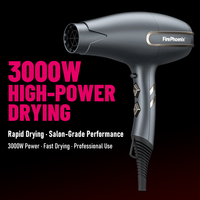 Sèche-cheveux professionnel compact électrique FirePhoenix F3 MAX PRO 3000W, 12 combinaisons de coiffage polyvalentes pour hôtel et usage domestique